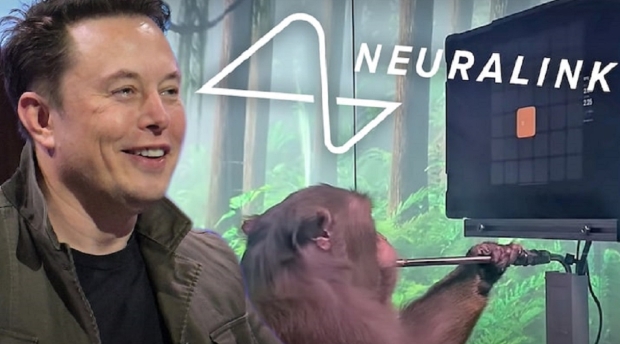 Open enlarged image Elon Musk's Neuralink tested on monkeys, causes death and suffering