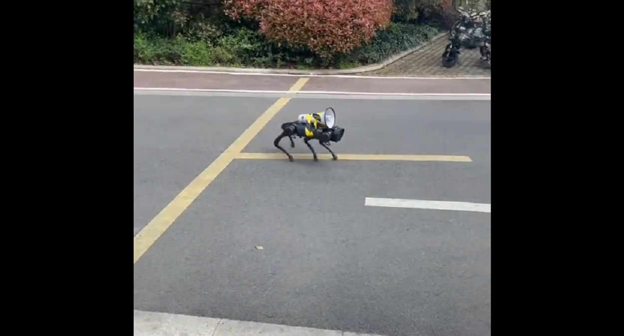China's police robot dog barks orders at people to stay at their homes