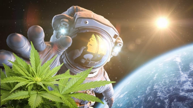 weed astronaut in space