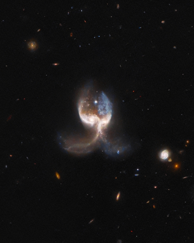 Le télescope spatial Hubble photographie l’aile d’un ange galactique dans l’espace lointain