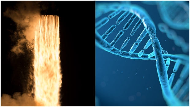 ADN de 500 especies diferentes y 2.000 humanos lanzados al espacio