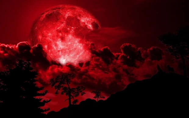 Open enlarged image Here's the date for the next full moon, will be a blood moon