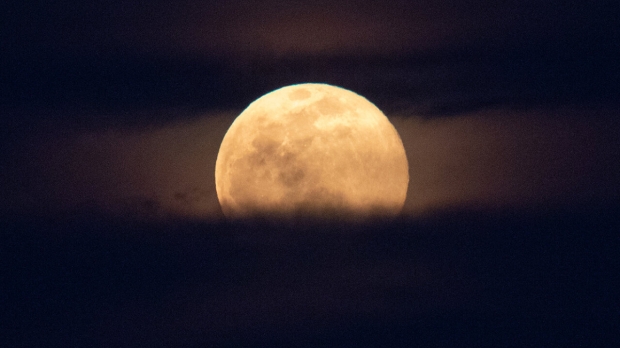 Open enlarged image Earth's water has been stolen over billions of years by the Moon