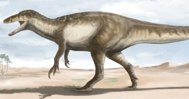 Predatory dinosaurs such as T. rex sported li