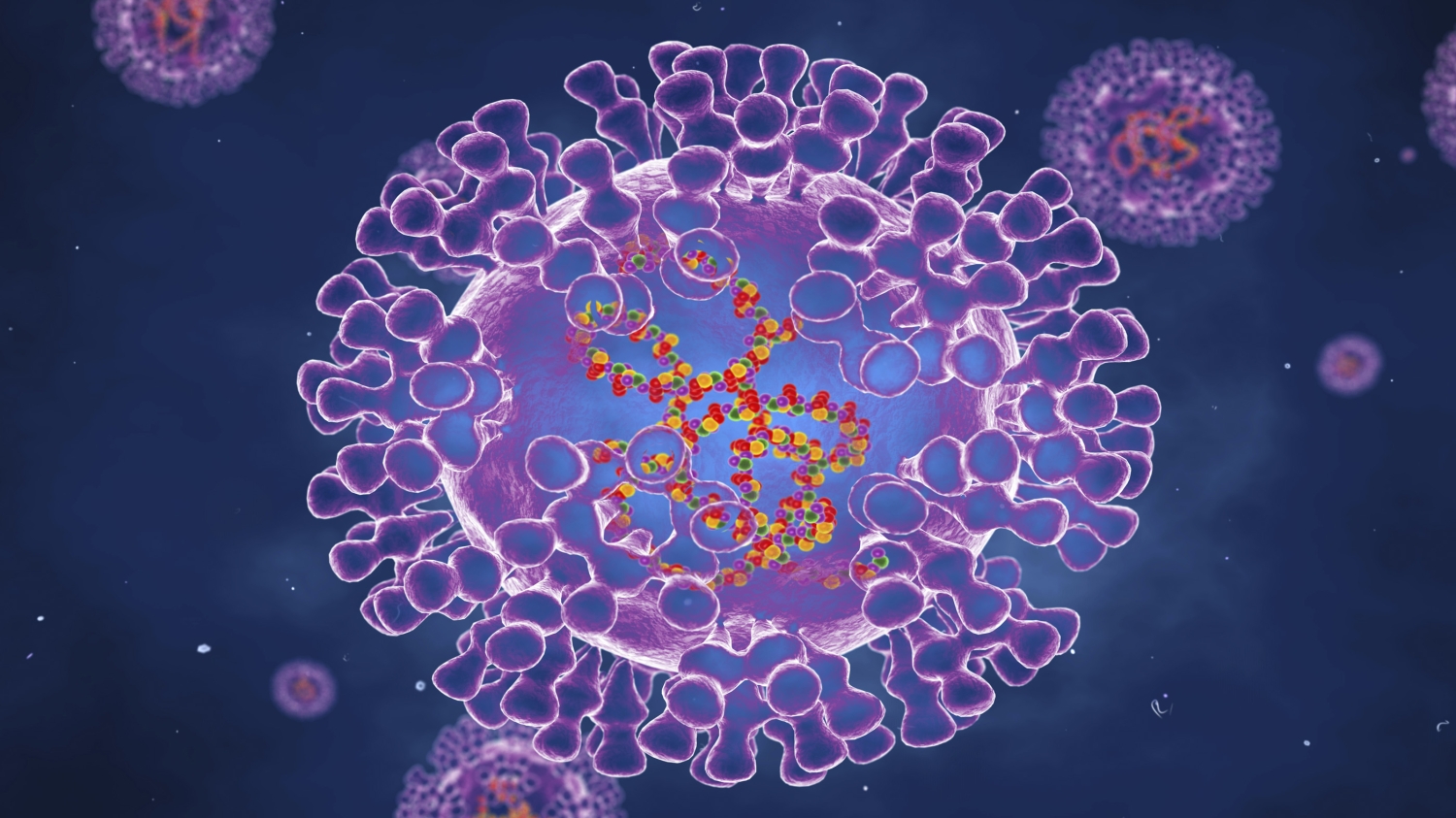 monkeypox virus outbreak - photo #12