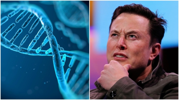Elon Musk myśli o tym, jak przechowywać DNA całej ludzkości