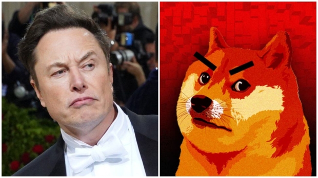 Dogecoin co-creator goes after Elon Musk with harsh criticisms