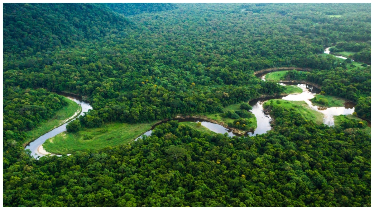 Scientists Find Proof Of Lost Cities Hiding In The Amazon Rainforest