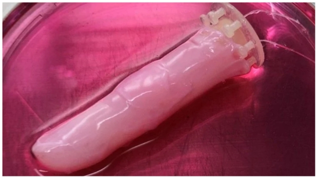 Open enlarged image Scientists have created 'living' skin for robots that can heal 02