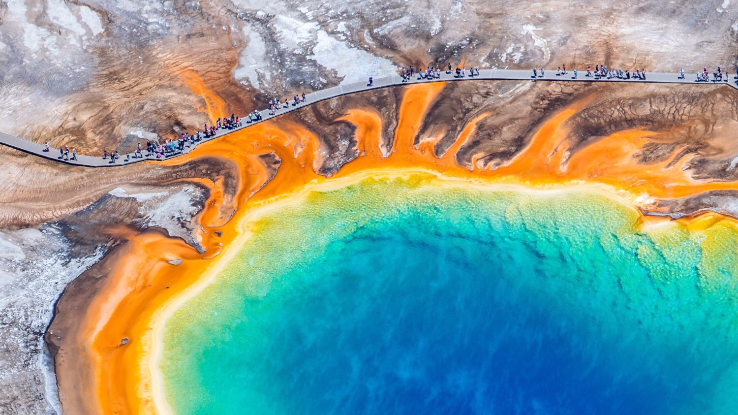 Yellowstone Park is closed and this insane helicopter video shows why