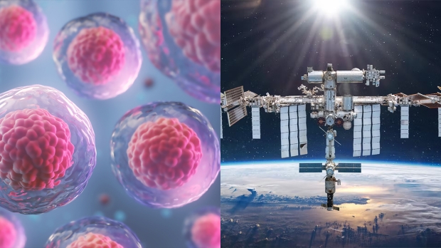 NASA to fund billions of stem cells being grown on the space station 01 | TweakTown.com