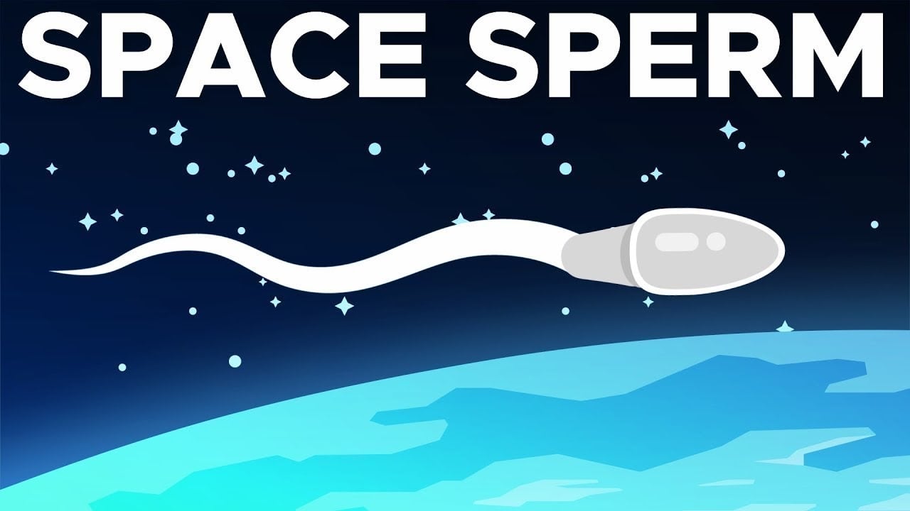 NASA scientist warns astronauts shouldn't masturbate in zero gravity - Vimarsana News