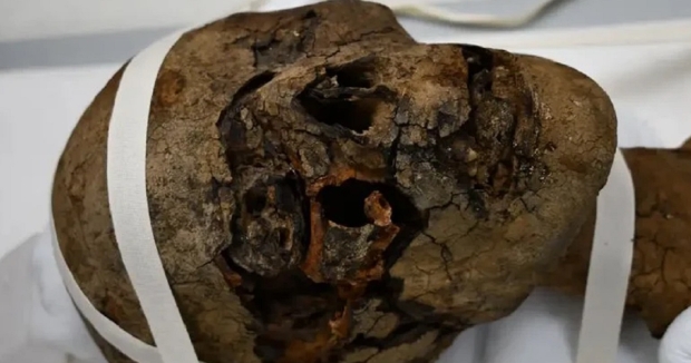 2,000 year-old decapitated Egyptian mummy head found in attic 02