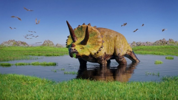 Nueva especie de dinosaurio de 70 millones de años descubierta en Nuevo México