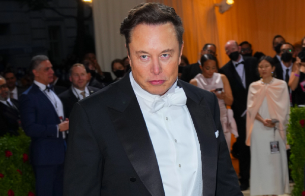 Elon Musk makes big 2030 prediction, says what keeps him up at night 01