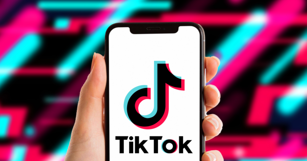 Gerucht: TikTok lijdt onder grote hack, 1 miljard+ accountgegevens gestolen 03 |  TweakTown.com