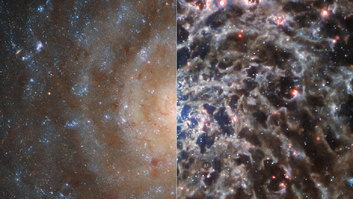 Hubble team sales