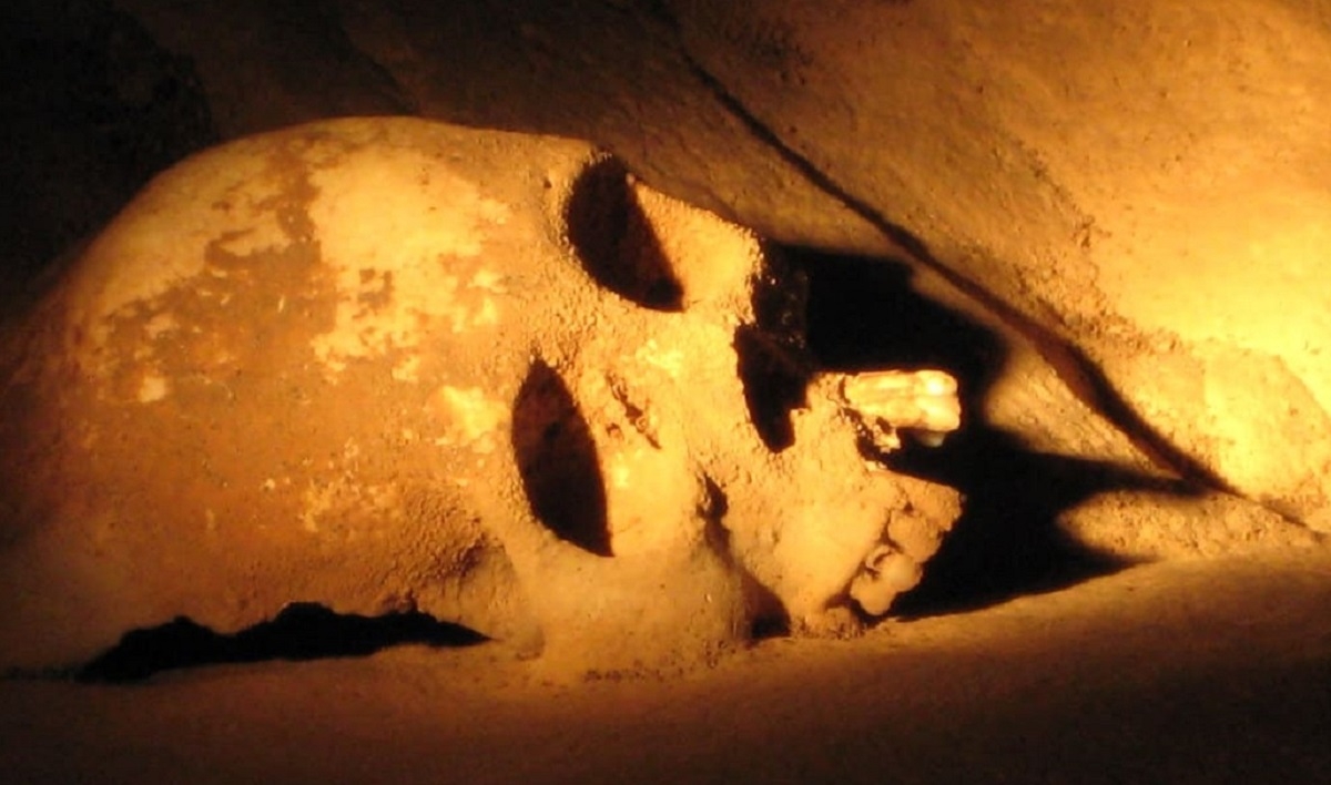 Scientists make wild discovery in cave used to sacrifice 100+ people - Vimarsana News