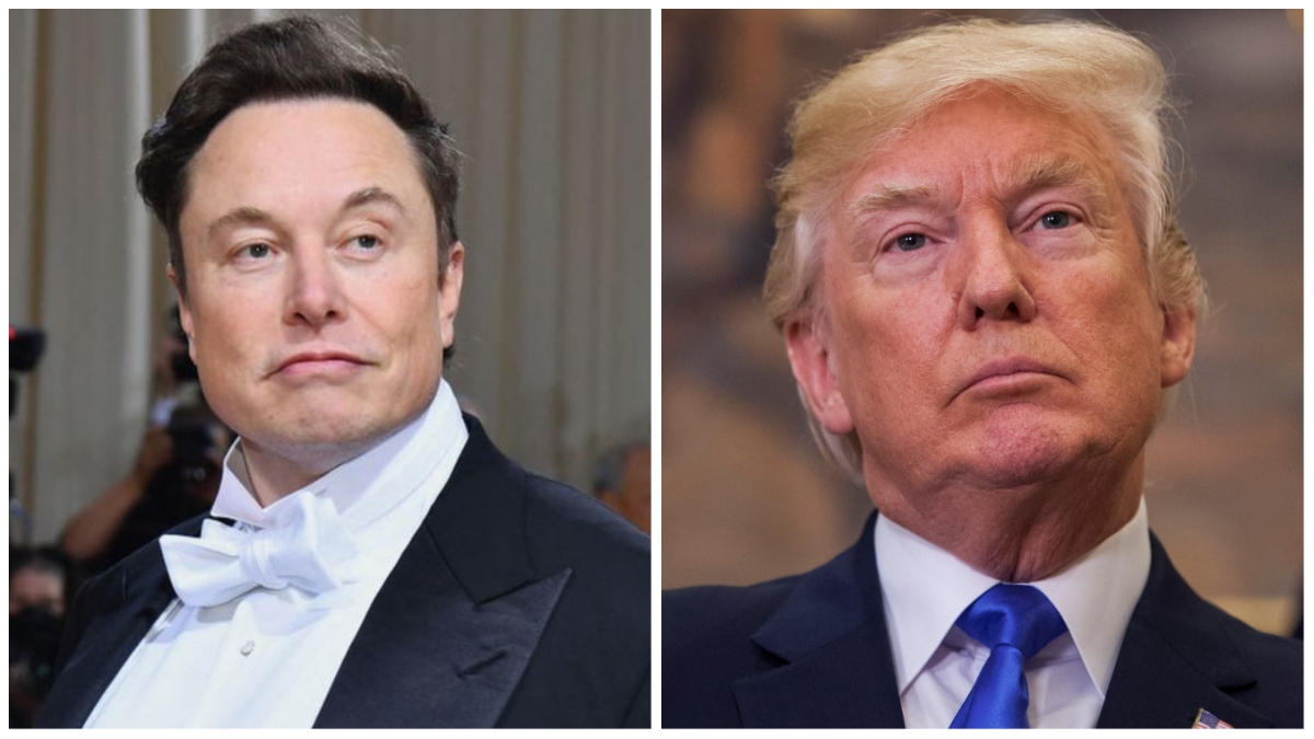 Elon Musk gives an update on banned accounts returning back to Twitter - Vimarsana News