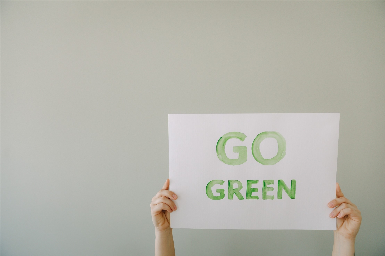 Greenpeace: Global heating could be pushed to the brink due to high car sales - Vimarsana News