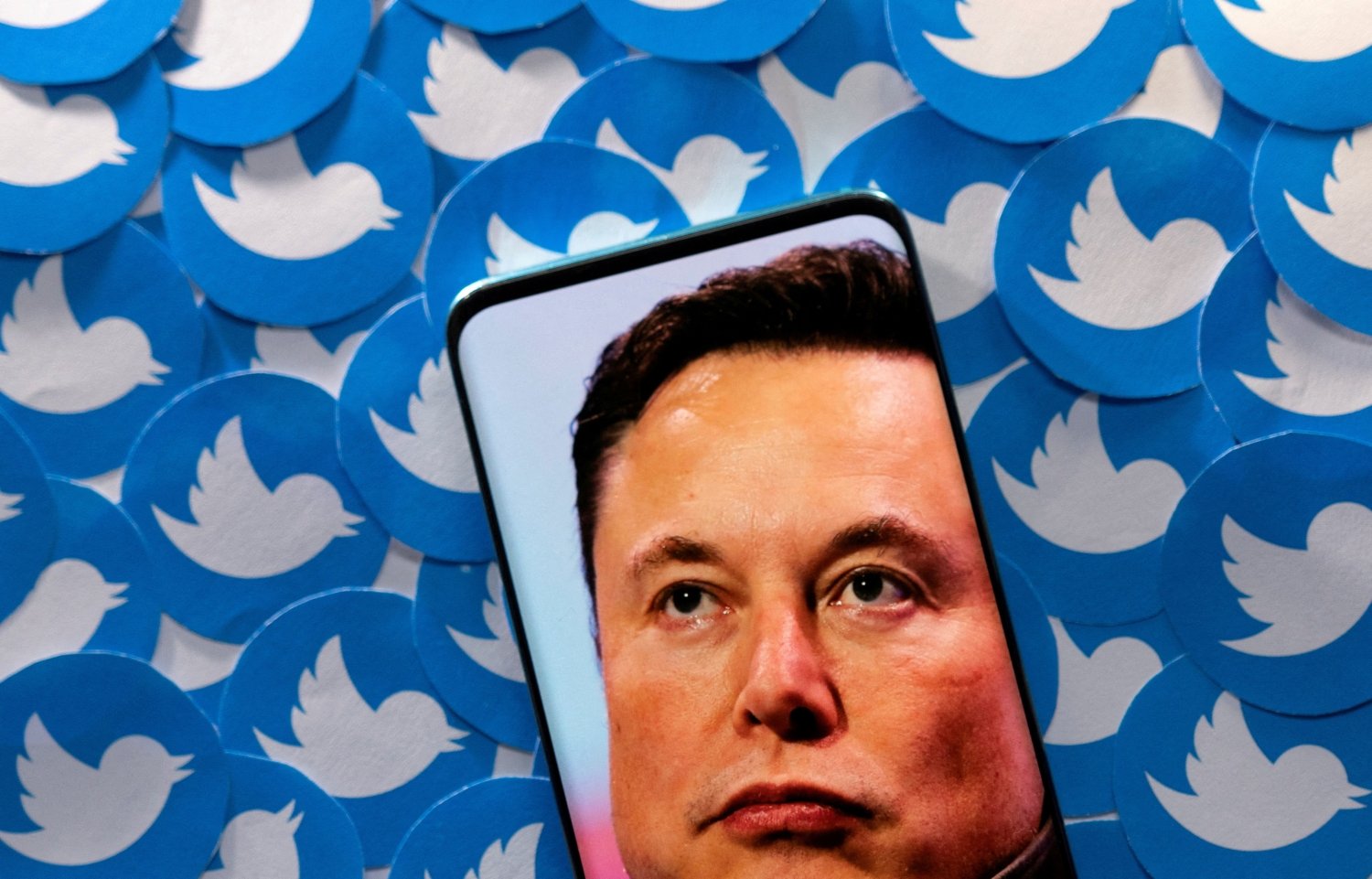 Top Twitter Executive Leaves And Takes A Swing At Elon Musk And His New ...