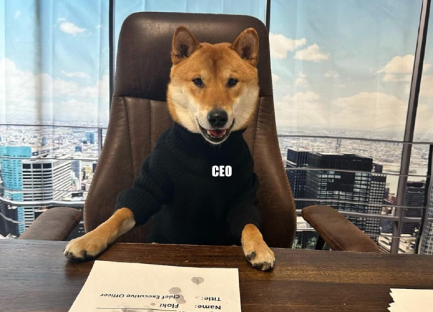 Elon Musk makes his dog the new CEO of Twitter 'he's great with numbers'