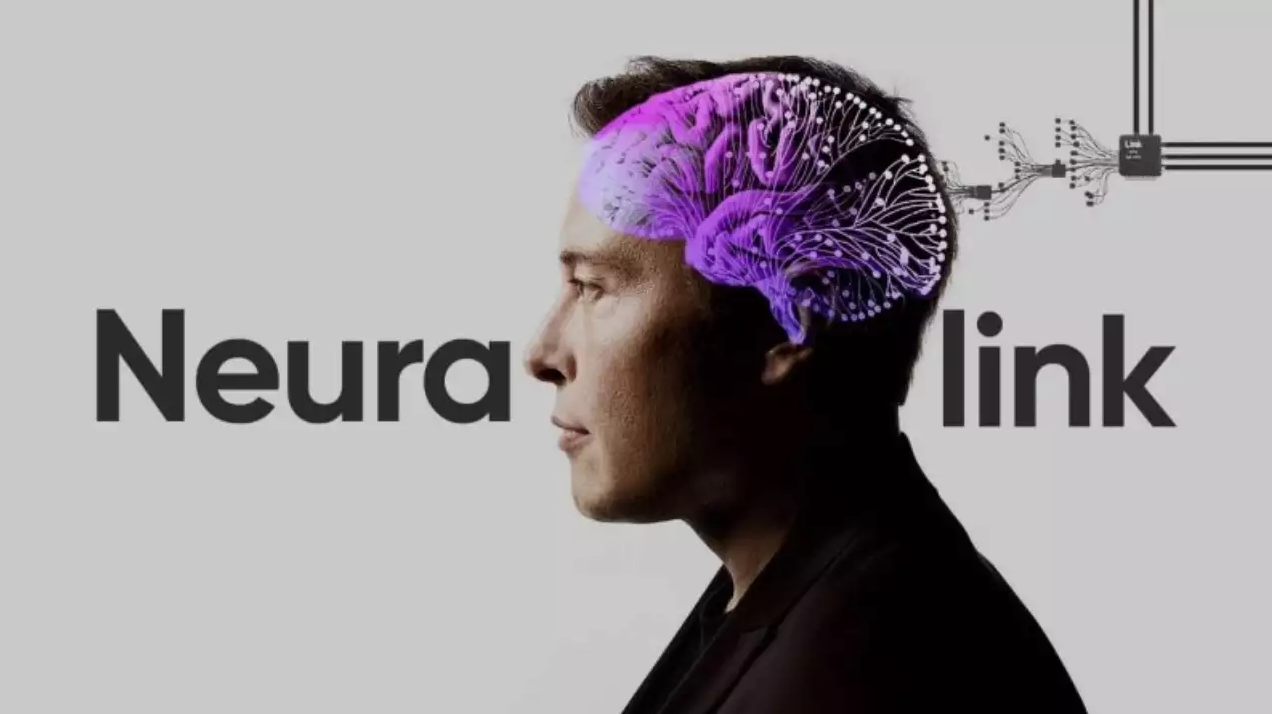 Elon Musk fails to mention the FDA rejected his push for brain chip human trials - Vimarsana News