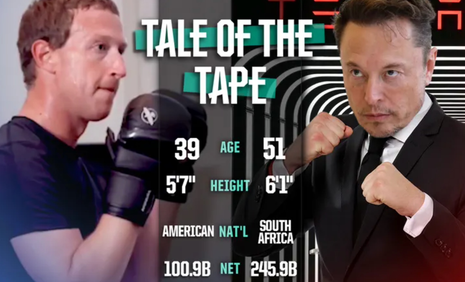 Mark Zuckerberg vs Elon Musk MMA cage fight heats up: What has happened so  far