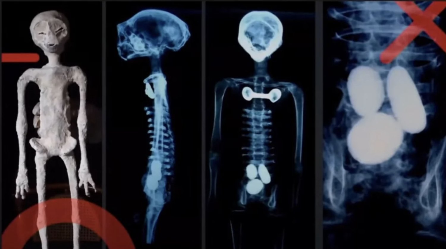 'Alien Corpses' Revealed At UFO Hearings, Scientists Detail Bodies Of ...