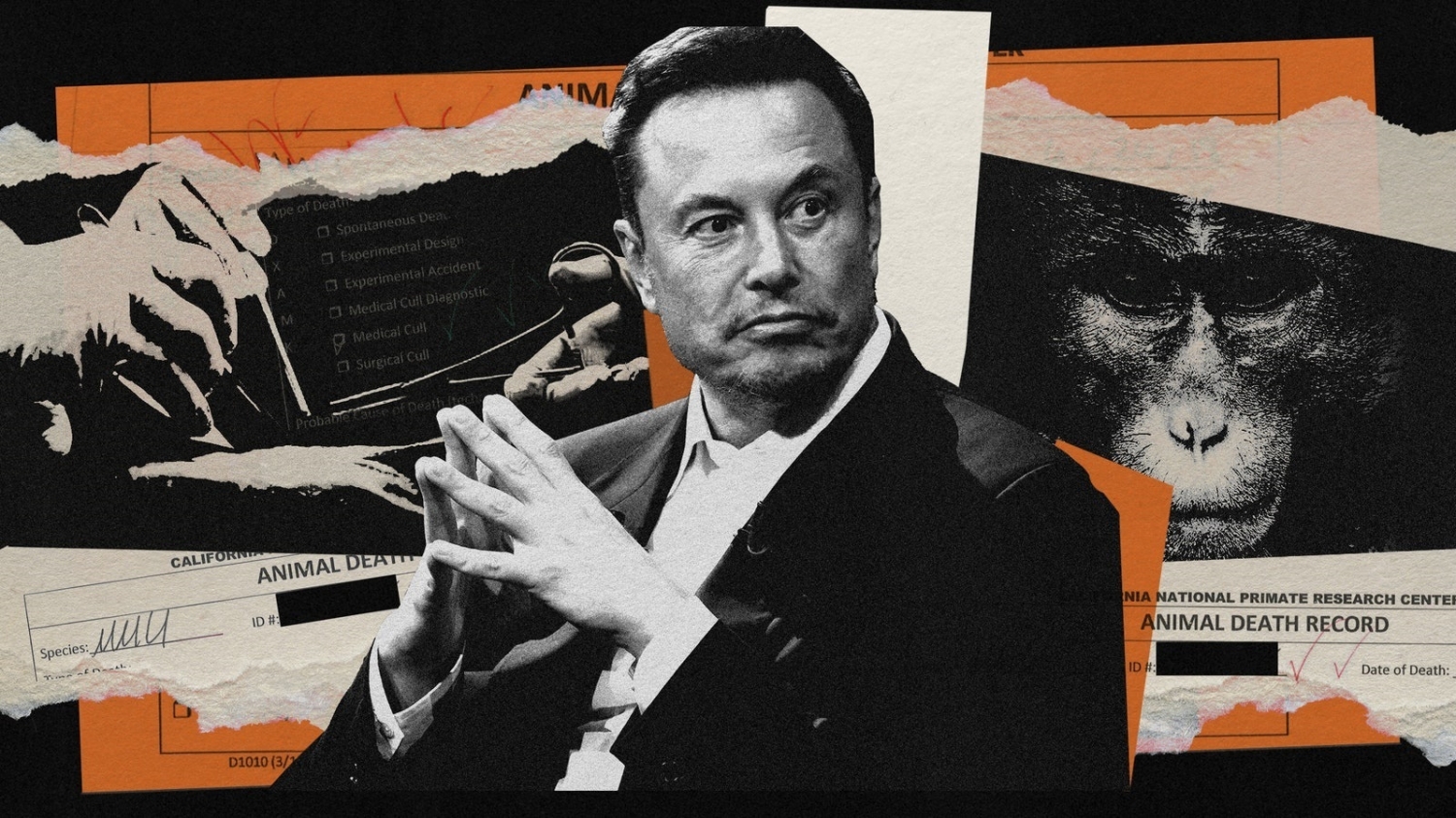 TweakTown Enlarged Image