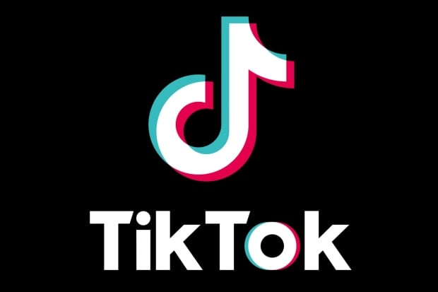 TikTok is going ad-free, but only if you're willing to pay for it.