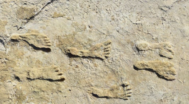 Scientists confirm age of oldest human footprints found in North America