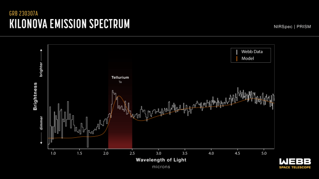 NASA's Webb telescope captures extremely rare and bright explosion in deep space 636 NASA's Webb telescope captures extremely rare and bright explosion in deep space 636