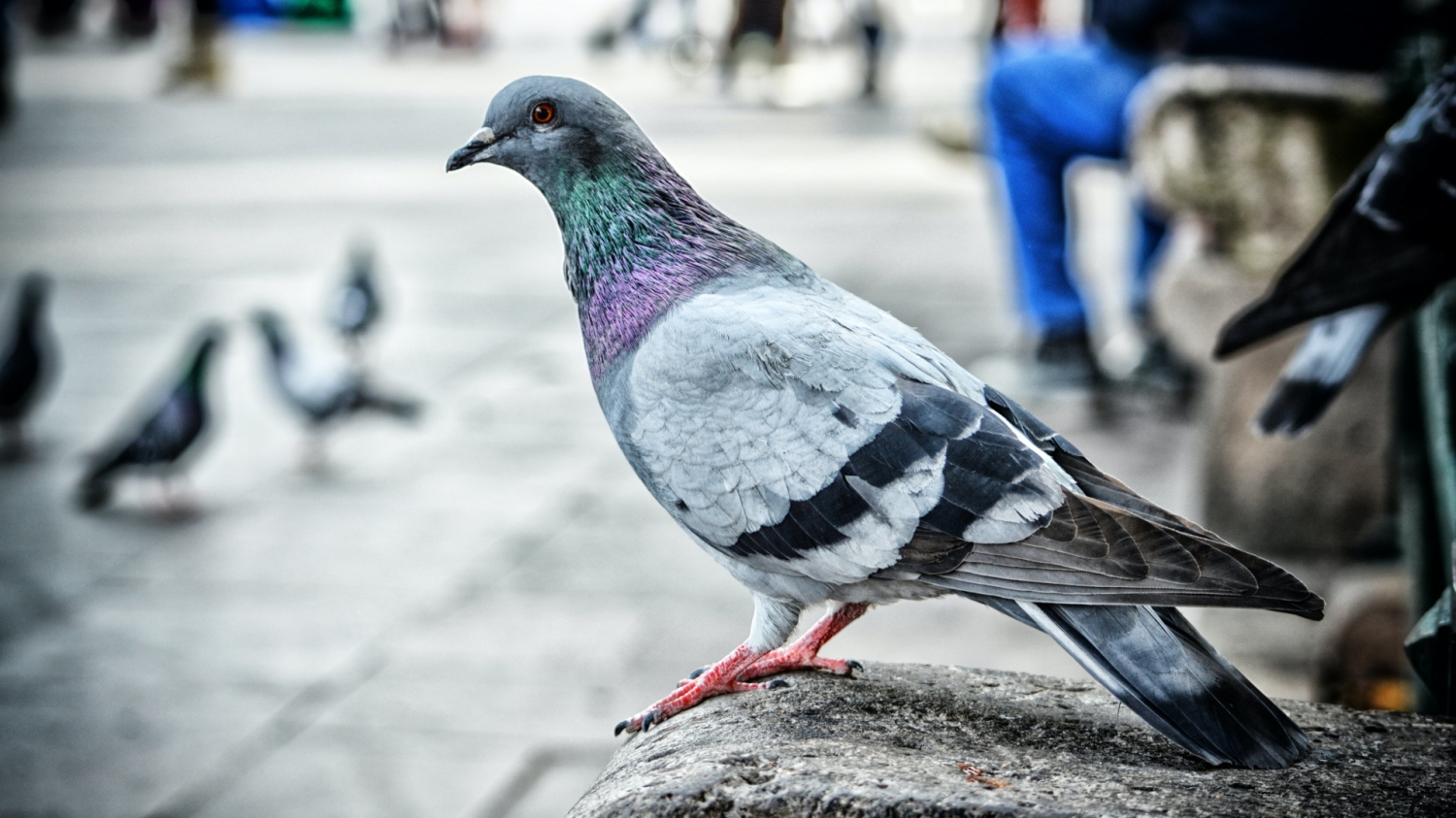 TweakTown Enlarged Image