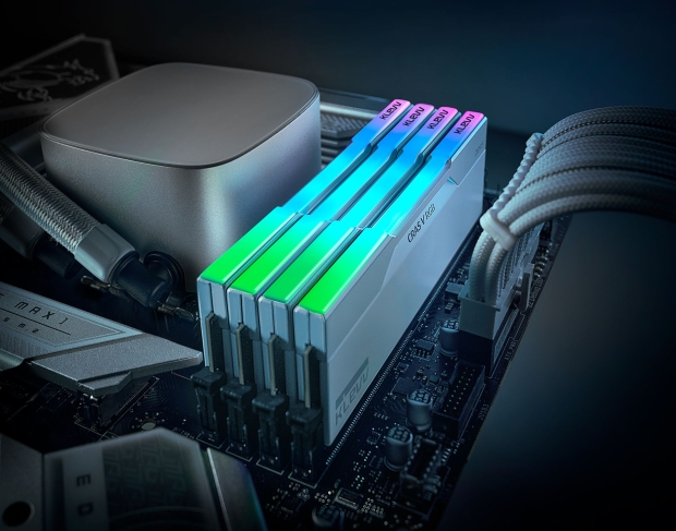 KLEVV intros CRAS V RGB DDR5-8400 memory, ready for Intel 14th Gen Core ...