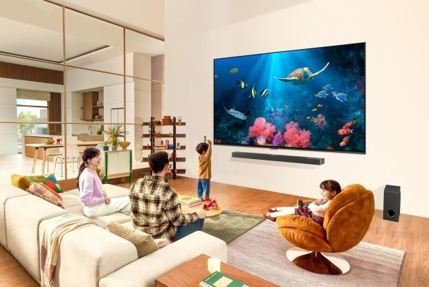 LG's new 2024 QNED and QNED Mini LED TVs will come in up to a huge 98-inch size 301