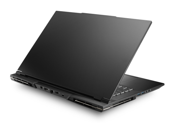 Eurocom Raptor X17 custom laptop (source: Eurocom) Eurocom Raptor X17 custom laptop (source: Eurocom)