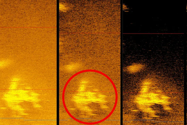 Scientists claim they've discovered Amelia Earhart's plane wreckage