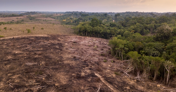 Scientists issue dire warning for the Amazon rainforest