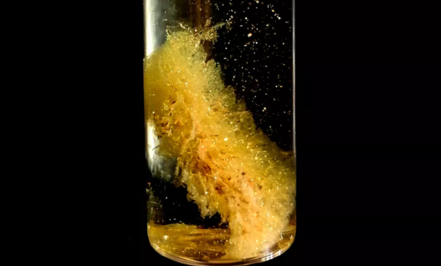 Scientists unveil how dairy waste can extract 22-carat gold from motherboards 566566