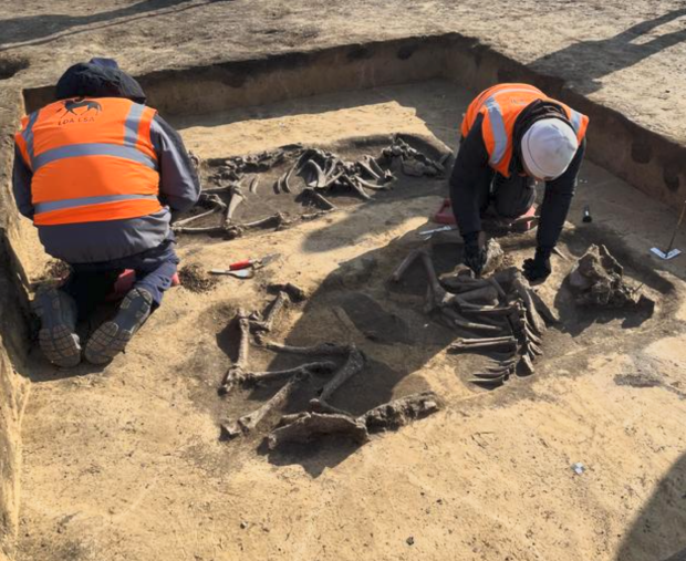 Intel’s new fab in Germany finds 6000-year-old ancient burial ground from human sacrifice