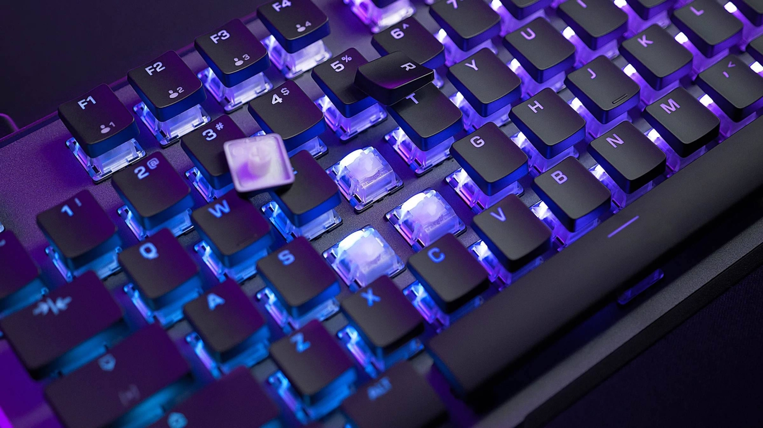 Roccat is no more, all future gear will now be released with Turtle Beach branding - Vimarsana News