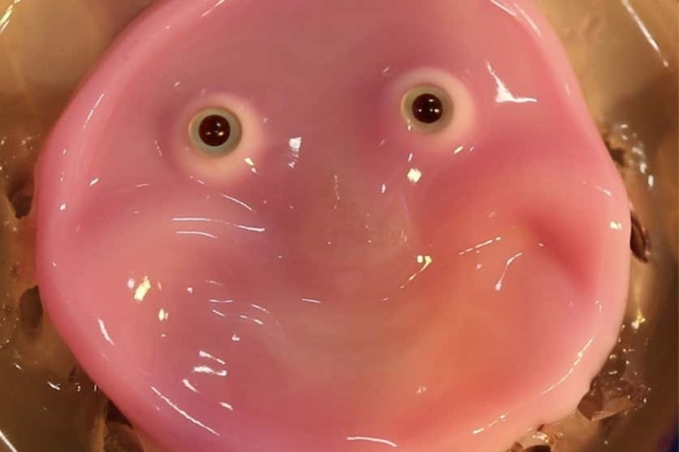 Robot with living human skin glimpses into the bleak reality of mortality 564